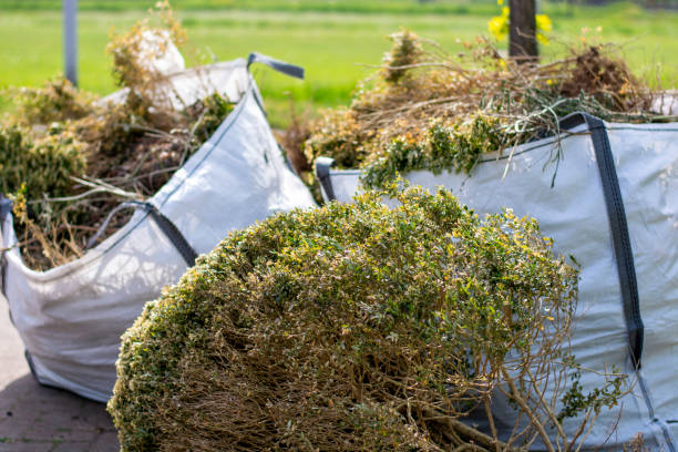 Best Shed Removal  in Boerne, TX